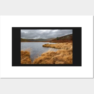 Llyn Barfog (The Bearded Lake), Snowdonia Posters and Art